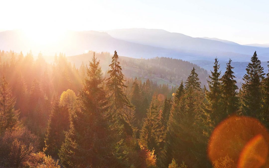 Why You’d Love Working With Great Guys Colorado